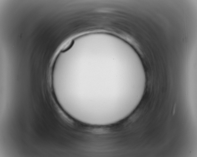 X0000083991516200703091834