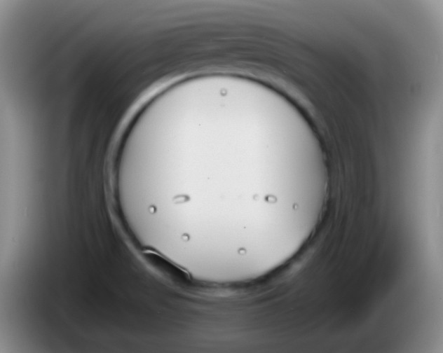 X0000083991517200703091834