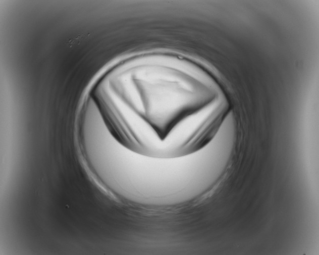 X0000083991518200703091834