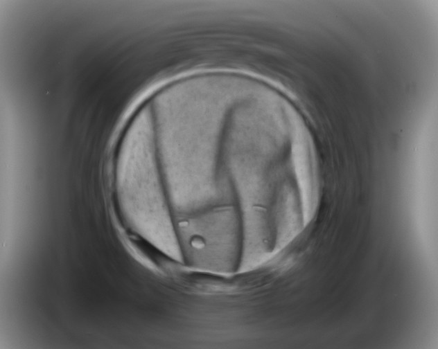 X0000083991519200703091834