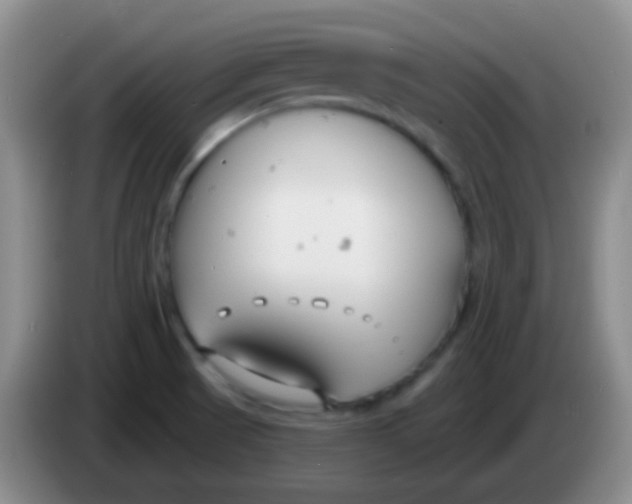 X0000083991521200703091834