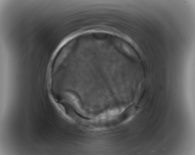 X0000083991522200703091834