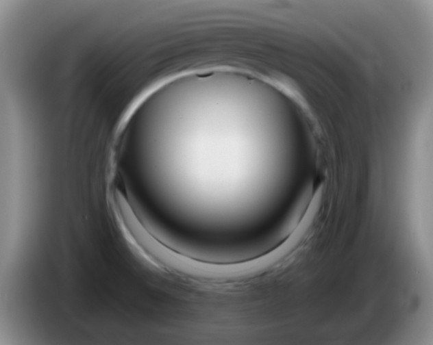 X0000083991524200703091834