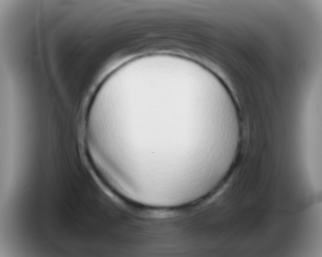 X0000083991525200703091834