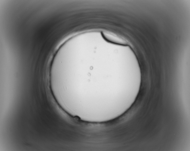 X0000083991526200703091834