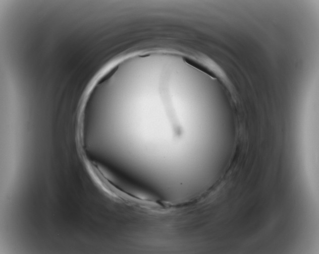 X0000083991528200703091834