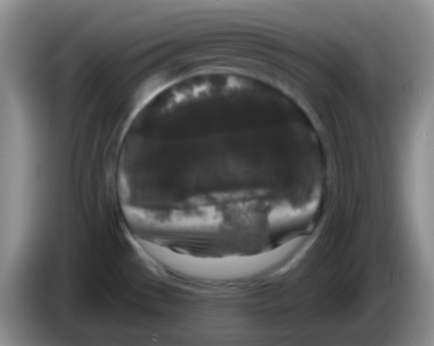 X0000083991529200703091834