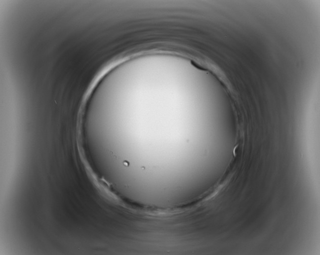 X0000083991530200703091834