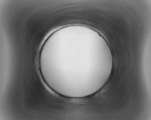 X0000083991531200703091834