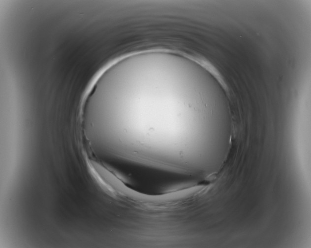 X0000083991532200703091834