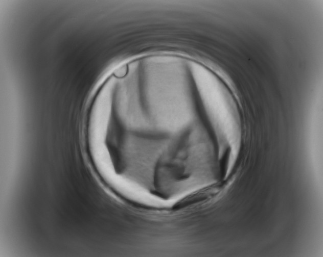 X0000083991533200703091834