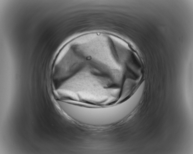 X0000083991534200703091834