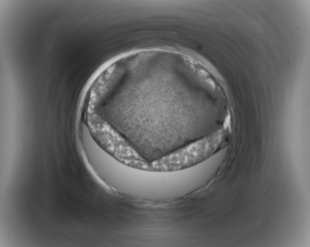 X0000083991536200703091834