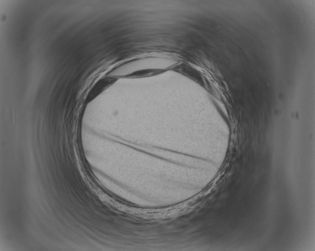 X0000083990001200703161635