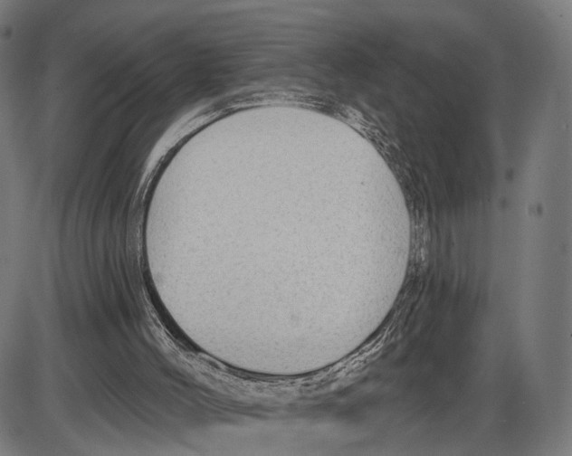 X0000083990004200703161634