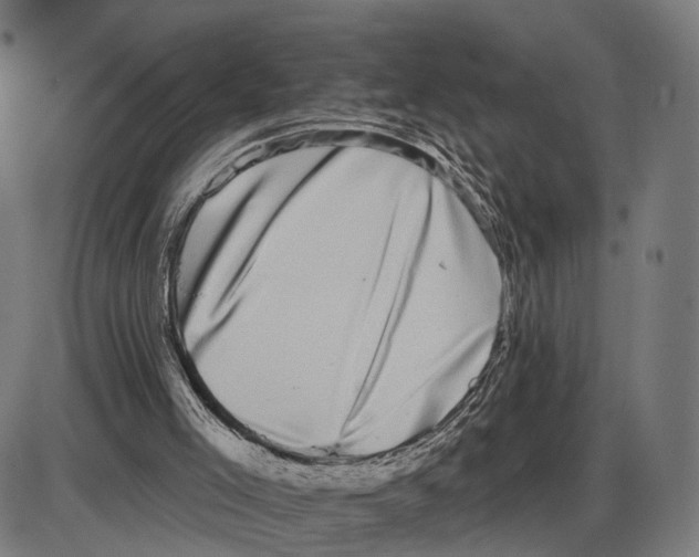 X0000083990005200703161634