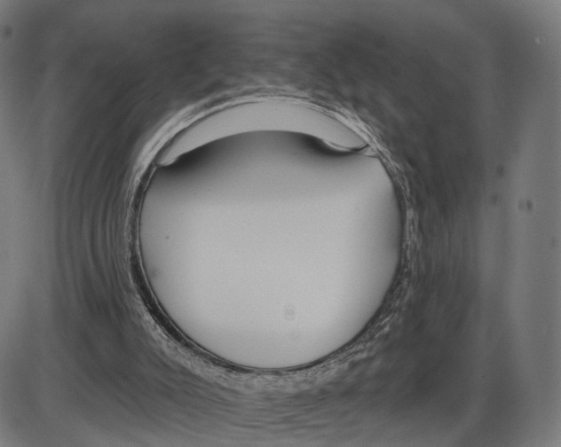 X0000083990007200703161634