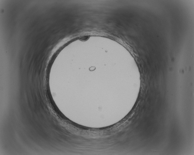 X0000083990008200703161634