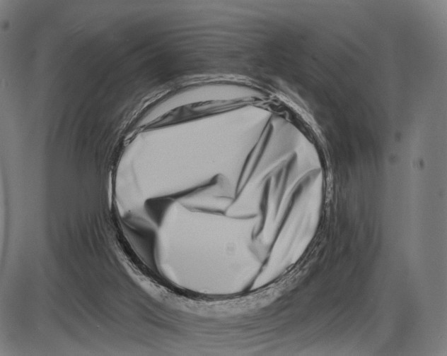 X0000083990013200703161634