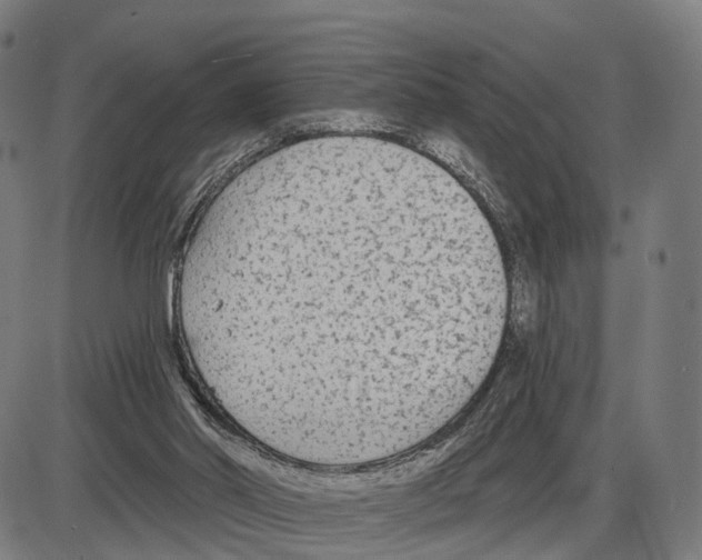 X0000083990014200703161634