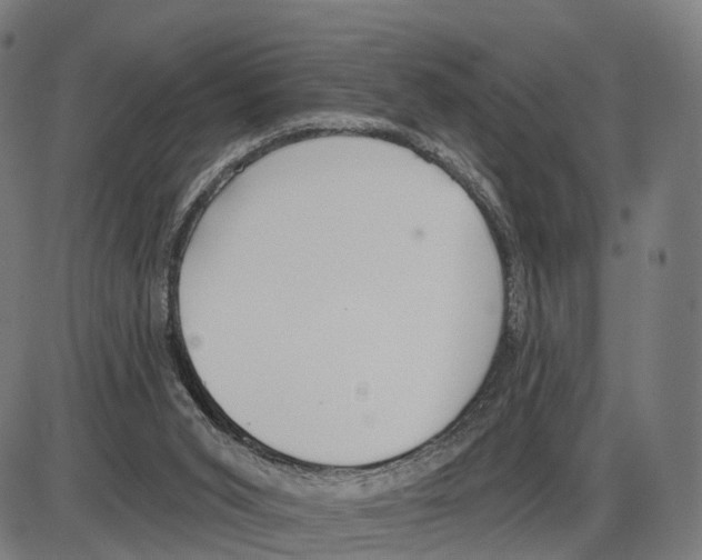 X0000083990015200703161634