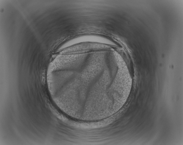 X0000083990017200703161634