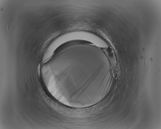 X0000083990019200703161634