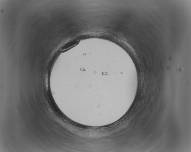 X0000083990020200703161634