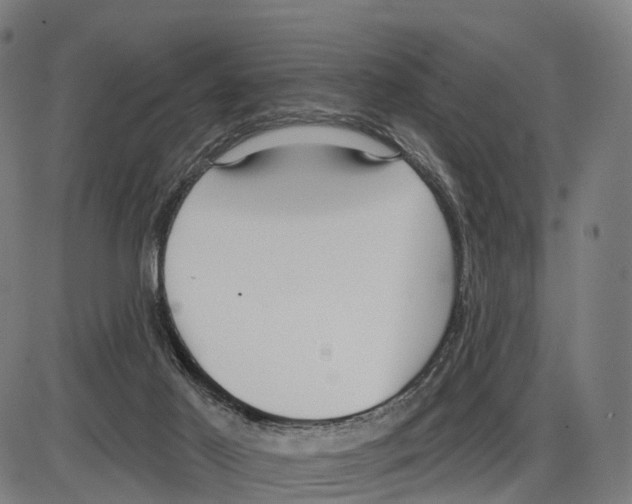 X0000083990021200703161634