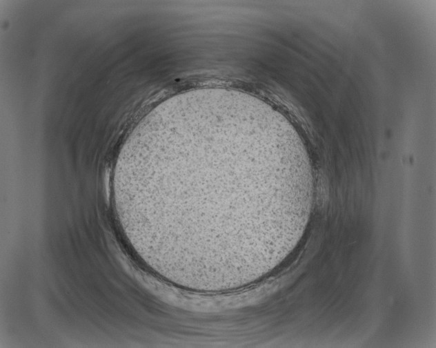 X0000083990022200703161634