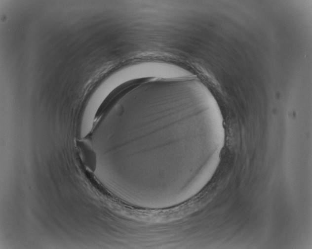 X0000083990023200703161634