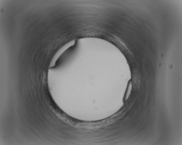 X0000083990025200703161634