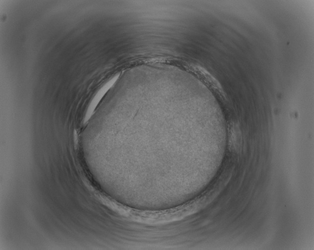 X0000083990026200703161634