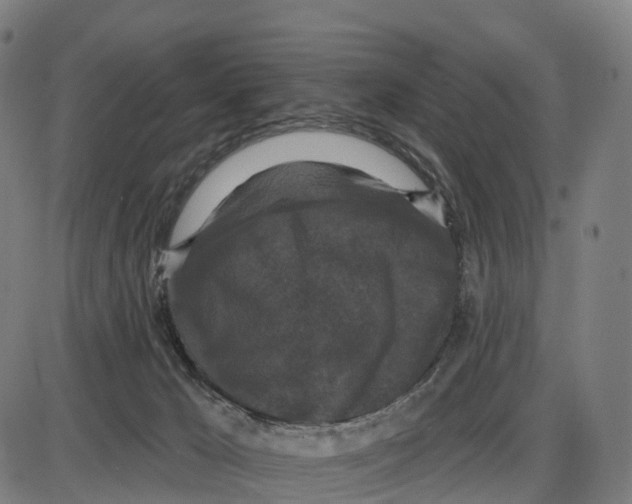 X0000083990029200703161634