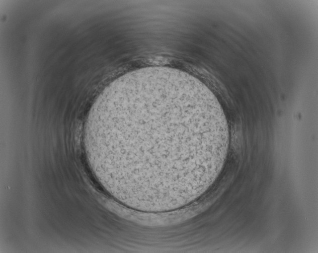 X0000083990030200703161634