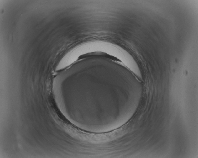 X0000083990031200703161634