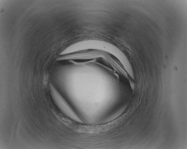 X0000083990033200703161634