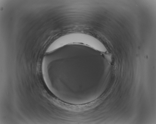 X0000083990035200703161634