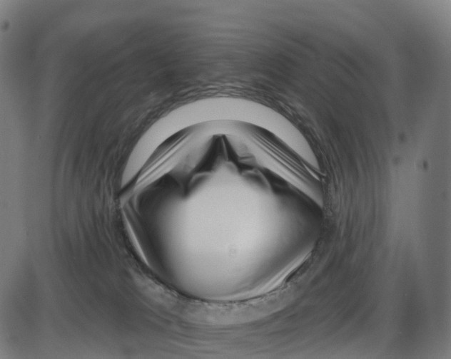 X0000083990037200703161634