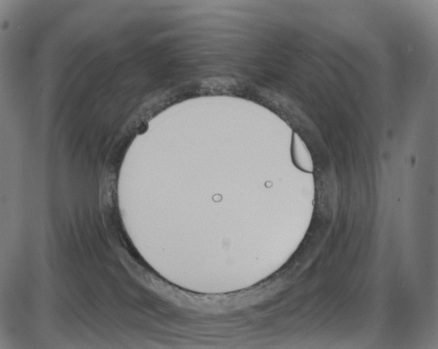 X0000083990038200703161634