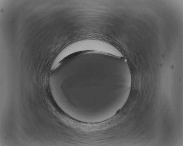 X0000083990039200703161634