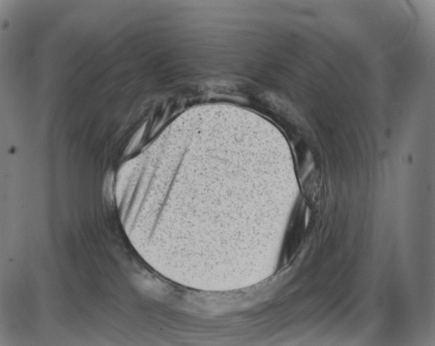 X0000083990041200703161634