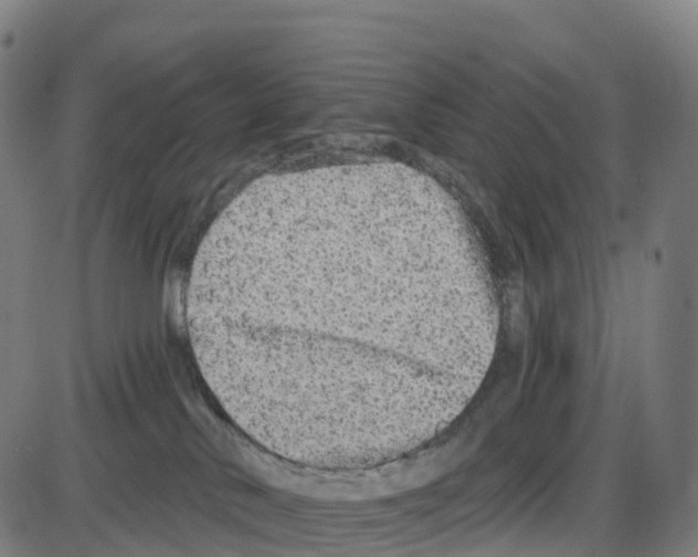 X0000083990042200703161634