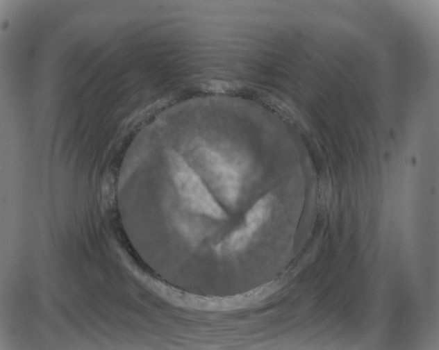 X0000083990043200703161634