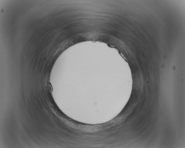 X0000083990044200703161634