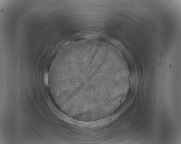 X0000083990046200703161634