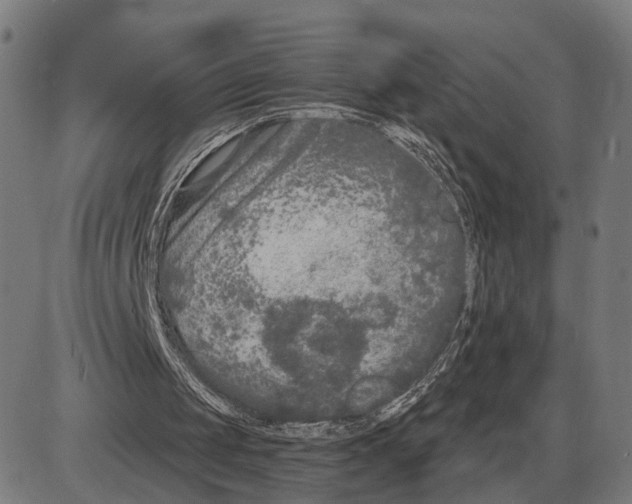 X0000083990049200703161633