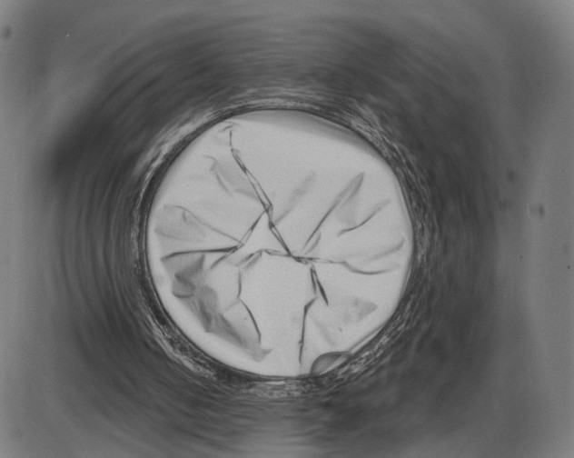 X0000083990050200703161633