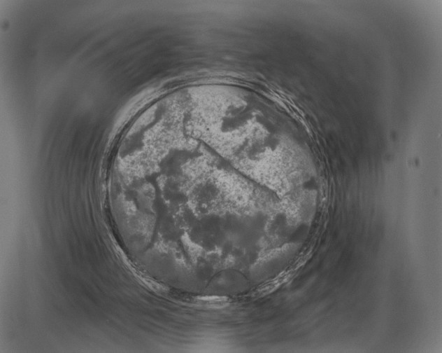 X0000083990053200703161633