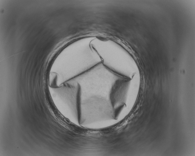 X0000083990055200703161633